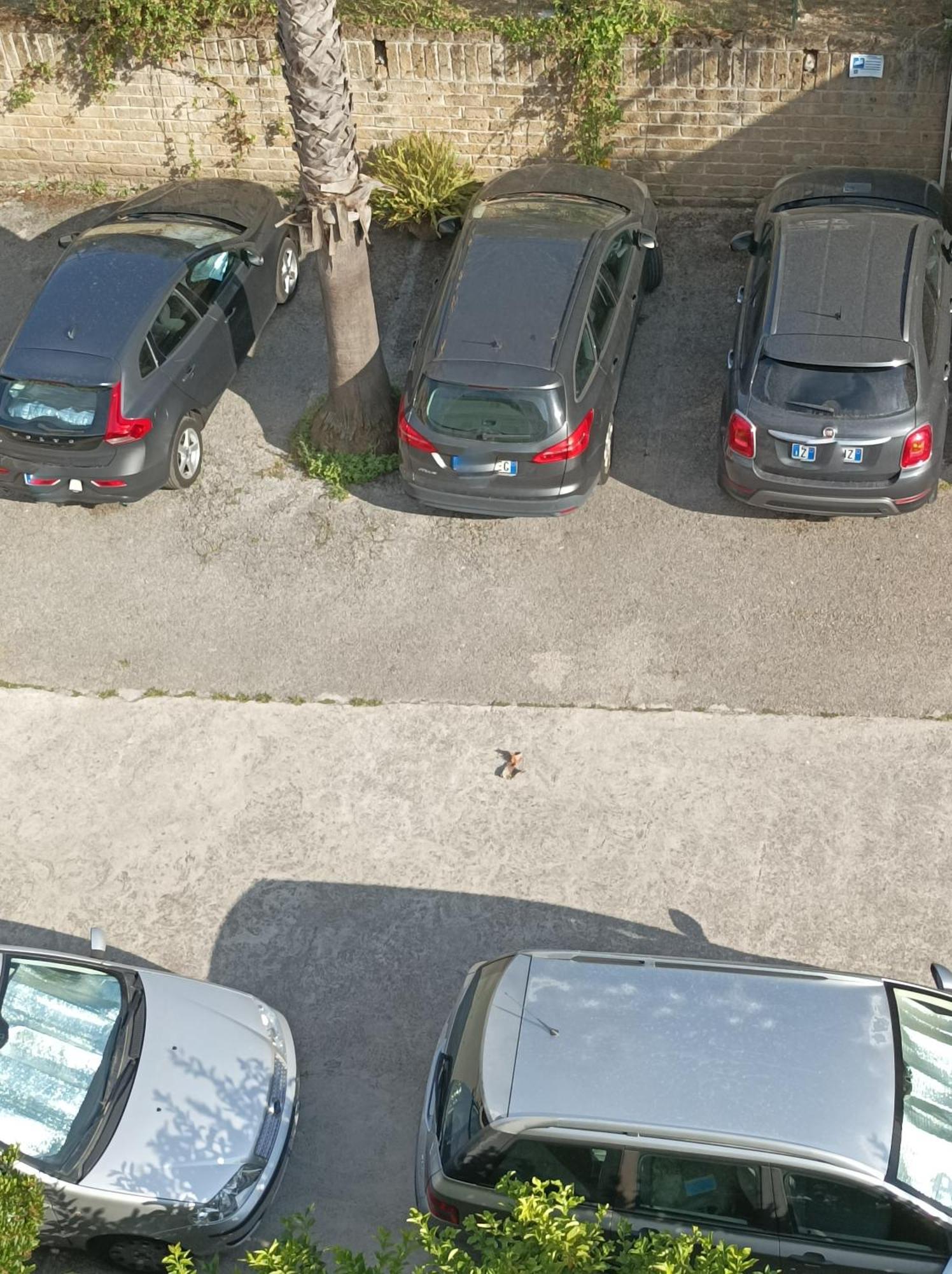 Villaggio Verde Cupra Cupra Marittima Kültér fotó
